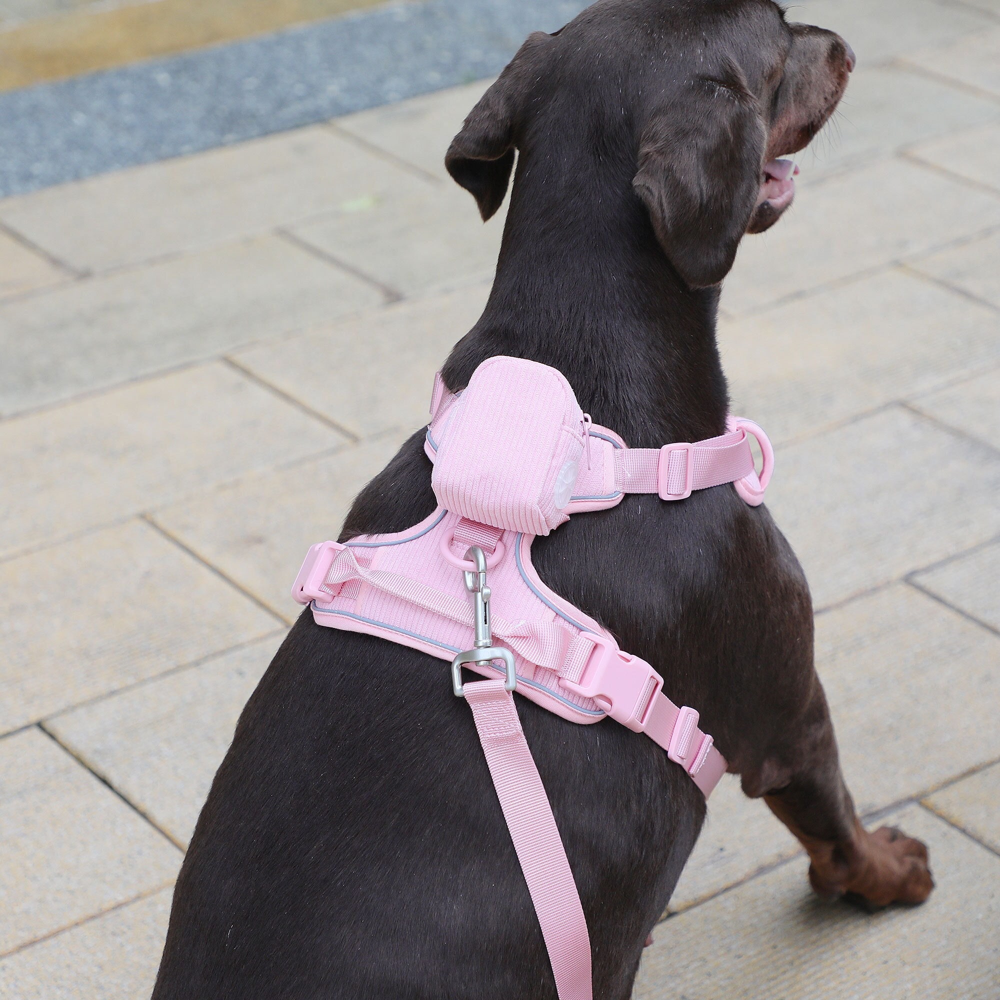 Blush pink dog harness hotsell