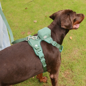 No Pull Dog Harness and Leash Set Personalized | Large Dog Harness Set | Reflective Custom Dog Harness | Emerald Green
