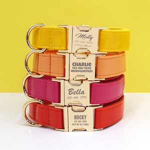 May include: Four stacked dog collars in yellow, orange, pink, and red. Each collar features a gold-coloured buckle engraved with a dog's name and a phone number. The buckles are inscribed with the names "Molly", "Charlie", "Bella", and "Rocky".