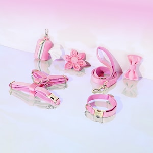 Pink Personalized Dog Harness and Leash Set | No Pull Dog Harness | Poop Bag Holder | Dog Gifts