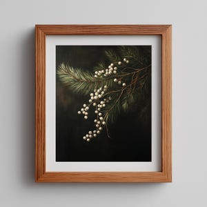 Puede incluir: Una impresión enmarcada con una ilustración botánica. La obra de arte representa una rama de agujas de hoja perenne y bayas blancas sobre un fondo oscuro. El marco es de madera.
