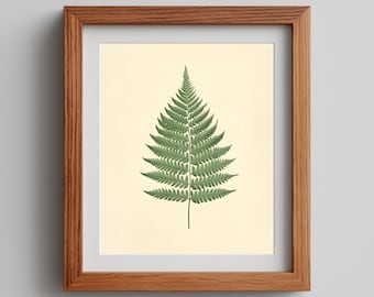 Minimalist Fern Frond Print, Vintage Botanical Wall Art Printable (Digital Download) 458