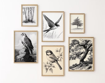 Vintage Bird and Tree Prints Set of 6: Nature Sketch Printable Wall Art (Digital Download) 11
