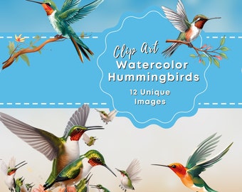 Watercolor Hummingbird Clipart, Vibrant Springtime Cute Birds, Hummingbird Mom, Summer Birds Clipart, Circuit Ready, Commercial Use, SVG