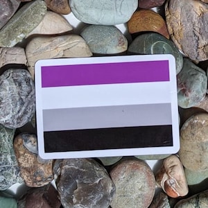 Könnte beinhalten: Ein Aufkleber mit der asexuellen Pride-Flagge. Die Flagge hat vier horizontale Streifen: lila, weiß, grau und schwarz.