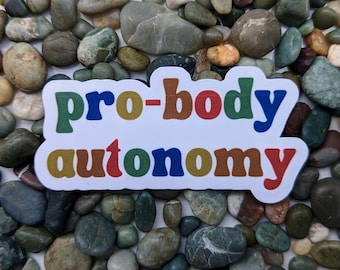Pro Bodily Autonomy Sticker | Water Resistant | Water Bottle Sticker | Laptop Decal | LGBTQ Owned | Feminist Vinyl Sticker | Roe v Wade