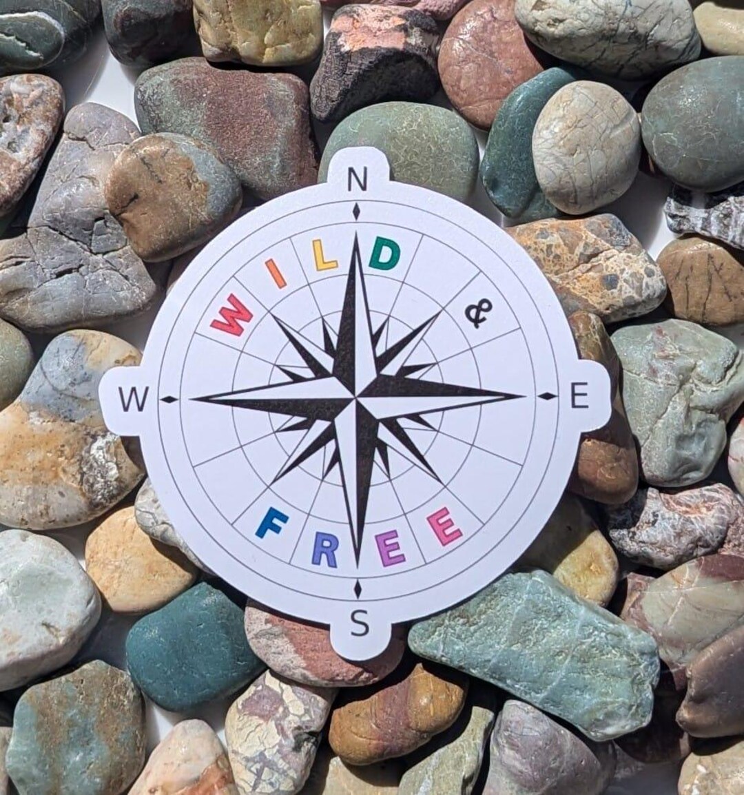 Wild and Free Compass Sticker, Ally Pride Sticker, Vinyl Sticker, Pride ...