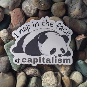 Könnte beinhalten: Ein weißer Aufkleber mit einem schlafenden Schwarzweiß-Pandabären auf der Seite. Der Aufkleber lautet "I nap in the face of capitalism".