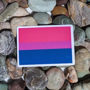 Bisexual Flag Sticker | Bi Pride Vinyl Sticker | Water Bottle Sticker | Laptop Decal | LGBTQ Owned | Love Wins