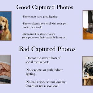 K&ouml;nnte beinhalten: Eine Collage aus vier Bildern, die Beispiele f&uuml;r gute und schlechte Haustierfotos zeigen. Das obere linke Bild zeigt einen Golden Retriever, der direkt in die Kamera schaut, mit guter Beleuchtung. Das obere rechte Bild zeigt eine Katze, die auf einem Stuhl vor einem Weihnachtsbaum sitzt. Das untere linke Bild zeigt einen Hund, der unter einer Decke schl&auml;ft, mit schlechter Beleuchtung. Das untere rechte Bild zeigt einen Hund, der auf einer Holzbank schl&auml;ft, mit einem schlechten Winkel.