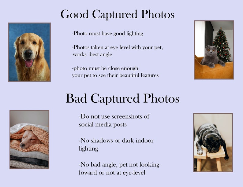 K&ouml;nnte beinhalten: Eine Collage aus vier Bildern, die Beispiele f&uuml;r gute und schlechte Haustierfotos zeigen. Das obere linke Bild zeigt einen Golden Retriever, der direkt in die Kamera schaut, mit guter Beleuchtung. Das obere rechte Bild zeigt eine Katze, die auf einem Stuhl vor einem Weihnachtsbaum sitzt. Das untere linke Bild zeigt einen Hund, der unter einer Decke schl&auml;ft, mit schlechter Beleuchtung. Das untere rechte Bild zeigt einen Hund, der auf einer Holzbank schl&auml;ft, mit einem schlechten Winkel.