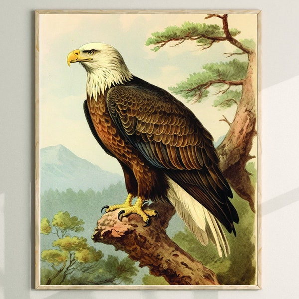Bald Eagle printable vintage bird of prey painting. Home decor wall hanging art picture for main living room hallway or kids playroom.