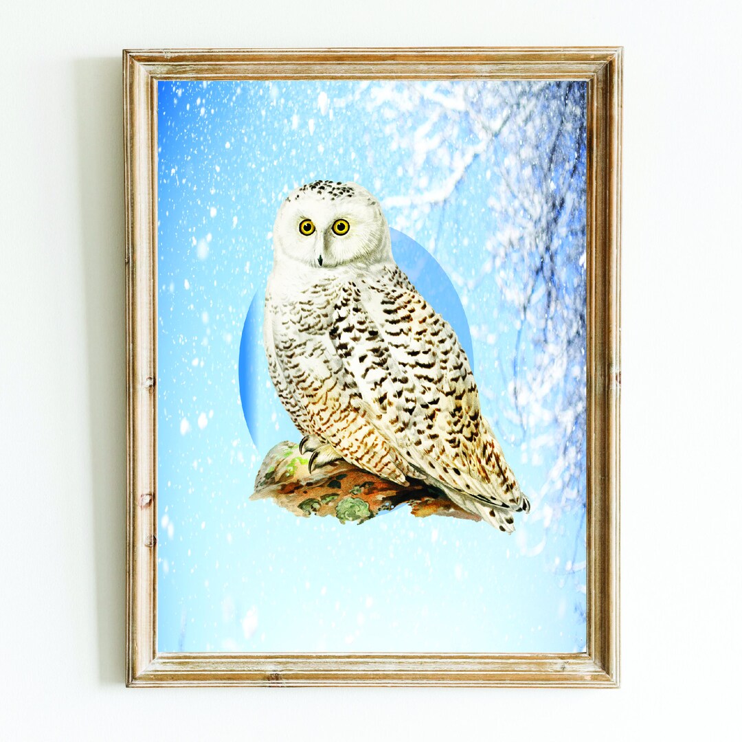 Snowy Owl Bird of Prey Painting. Modified High Resolution Print of