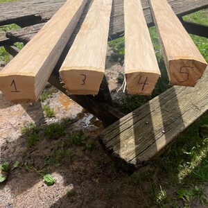 Hickory bow staves