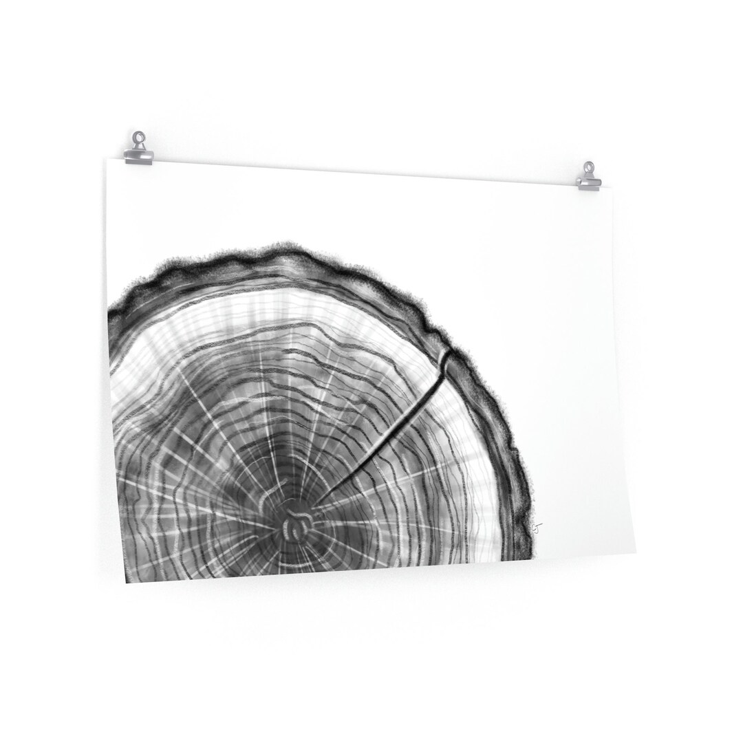 Tree Ring Wall Art Minimalist Art Wood Slice Print Modern Art Etsy