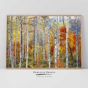 Fall, Trees, Birch, Wall Art, Home Decor, Wall Decor, Digital prints, Decor, Art, Digital Prints, Art Prints, Digital Download, Printable