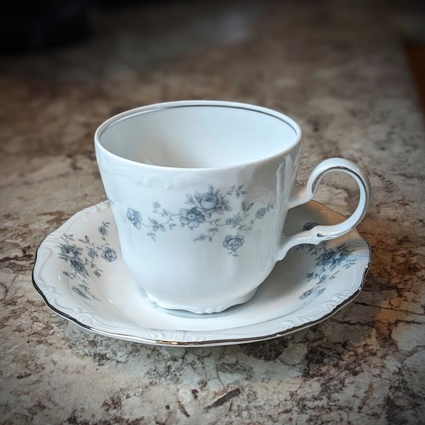 Johann Haviland Bavaria BLUE GARLAND Porcelain Cup and Saucer Set with Baby Soft Blue Floral Pattern and Silver Edging