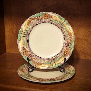 Myott Son & Co. ENGLAND&#39;S COUNTRYSIDE with Cottages, Trees and Fields Transferware 7&quot; Dessert Bread Plates ~ Set of 2
