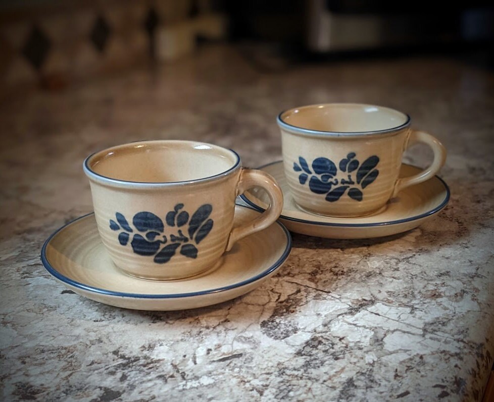 Pfaltzgraff FOLK ART Light Brown and Navy Blue Earthtone Coffee