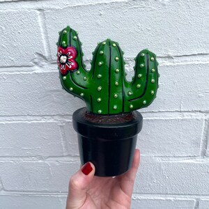 May include: A green cactus with a red flower and white centre, in a black pot. The cactus has green and white dots on it.