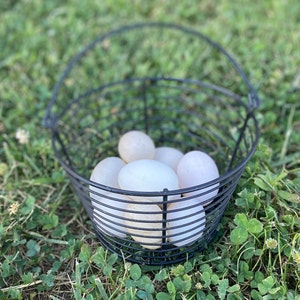 May include: A black wire basket filled with white eggs sitting on a bed of green grass.