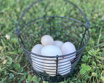 Organic Corn & Soy Free Duck Eggs. Ducks are laying great again. Good for Baking, Allergen|Paleo|Keto|MCAS diets