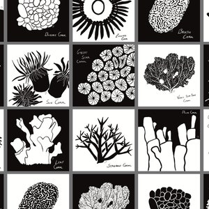 Coral Collection: Montessori High Kontrast druckbare sensorische Karten