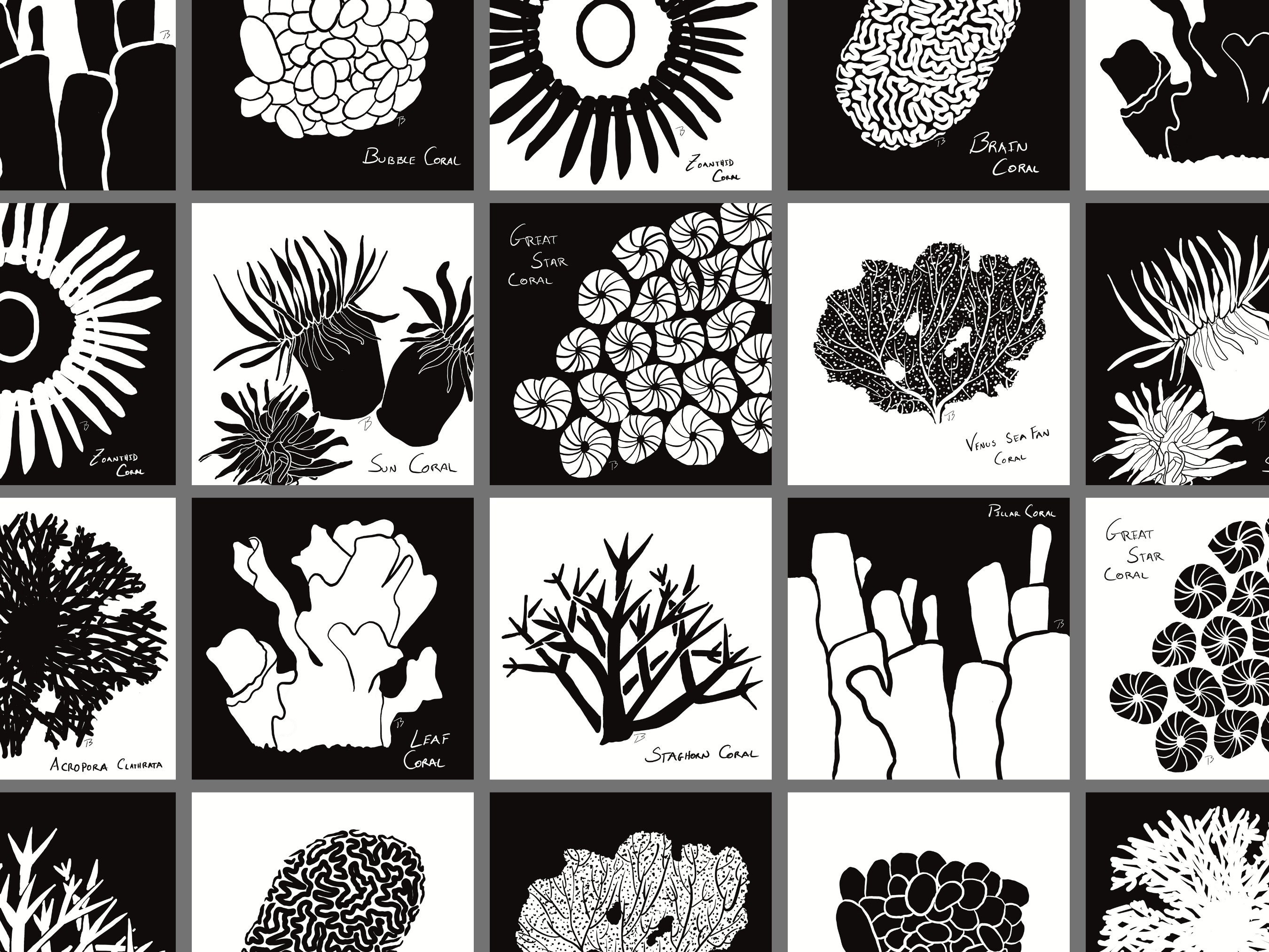 Coral Collection: Montessori High Contrast Printable Sensory Cards - Etsy