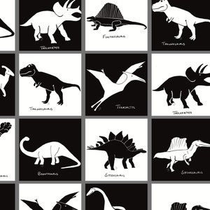 Collection de dinosaures : cartes sensorielles imprimables à contraste élevé Montessori