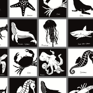 Coleção Ocean Creatures: Cartões sensoriais imprimíveis de alto contraste Montessori