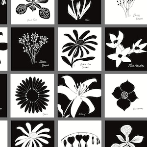 Flower Collection: Montessori High Contrast Printable Sensory Cards