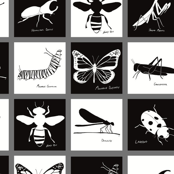 Insect Collection: Montessori High Contrast Printable Sensory Cards