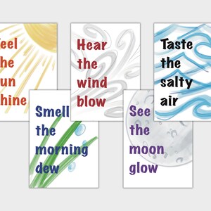 Nature Five Senses Wall Art