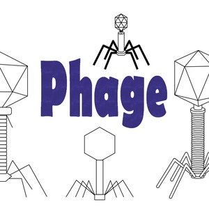PHAGE VIRUS Bundle. ClipArt. Aufkleber. Transparent. PNG. 1200 ppi. Grafik. Druckbar. Für kommerzielle Nutzung.