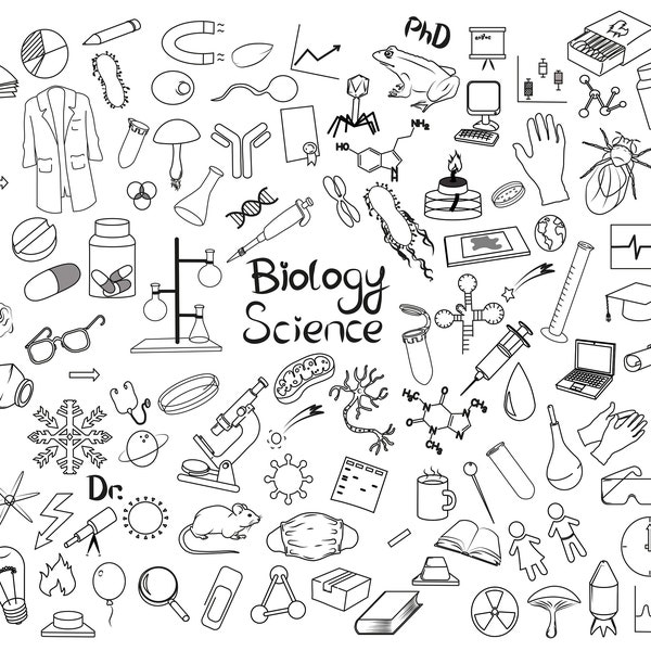 BIOLOGY SCIENCE Bundle. 100+ Pcs. ClipArt. Sticker. Transparent. PNG. 1200 ppi. Graphic. Printable. For commercial use.