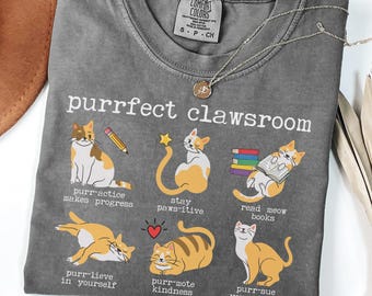 Funny Teacher Cat Shirt, Cat Lover Teacher Shirt, Cat Teacher Tee, Teacher Puns Shirt, Teacher Humor Gift, Unique Teacher Appreciation Gift