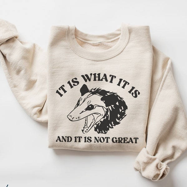 Funny Possum Sweatshirt, It is What It Is Crew Neck, Mental Health Sweater, Opossum Lover Gift, Meme Sweater, Weird Rodent Animal Shirt