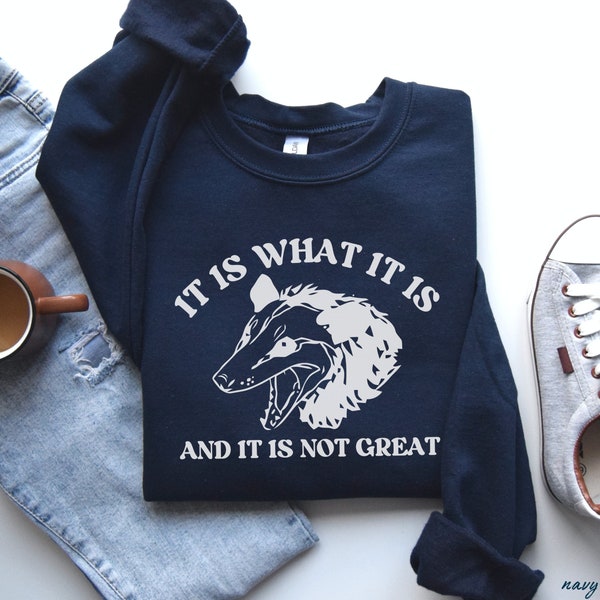 Funny Possum Sweatshirt, It is What It Is Crew Neck, Mental Health Sweater, Opossum Lover Gift, Meme Sweater, Weird Rodent Animal Shirt