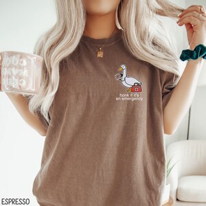 May include: A brown t-shirt with a white goose wearing a stethoscope and holding a first aid kit. The text on the shirt reads "Honk if it's an emergency."