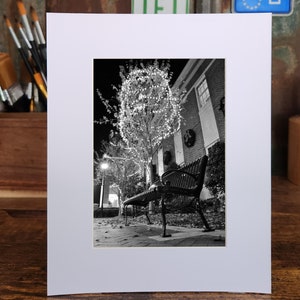 Christmas Tree and Bench