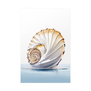 Coastal Art Print, Nautilus Shell Print, Wall Art, Beach Art, Wall Decor, Printable, Fine Art, Seashell Art, Nautical Home Decor, Marine Art
