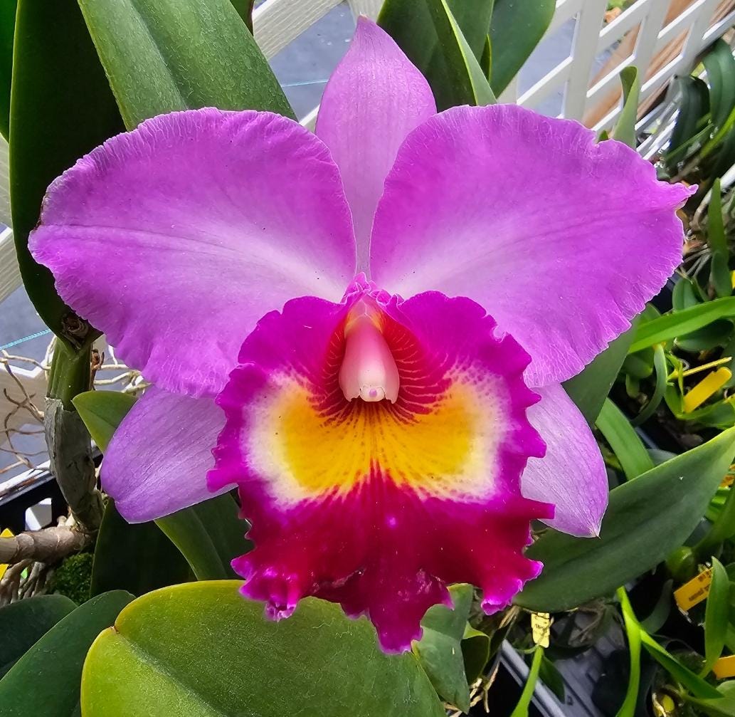 anieya (@anicauthen) • Instagram photos and videos, image size:1033x1007