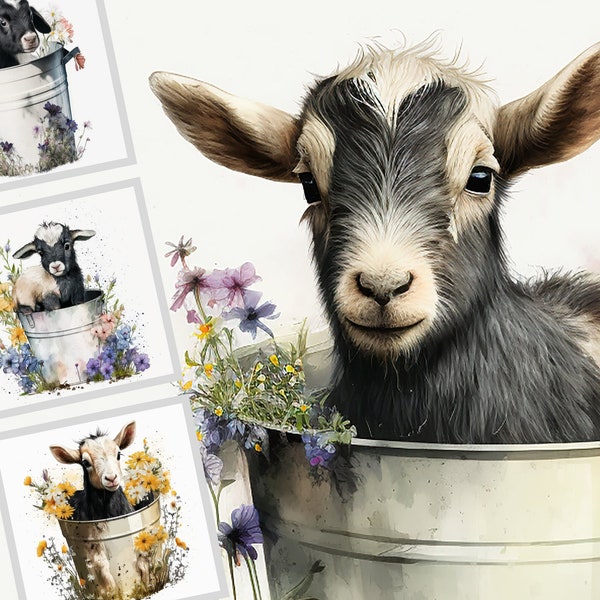 Baby Goat in a Bucket Watercolor Clipart Cute Goat & Bucket Baby Goat PNG Commercial Use Kid Goat Farm Animals Graphics Illustration Print