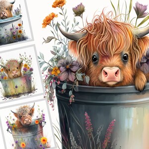 Highland longhaired Cow PNG, cute cow sublimation, metal tub PNG graphic, cowboy boot clipart, Highland calf PNG digital download.