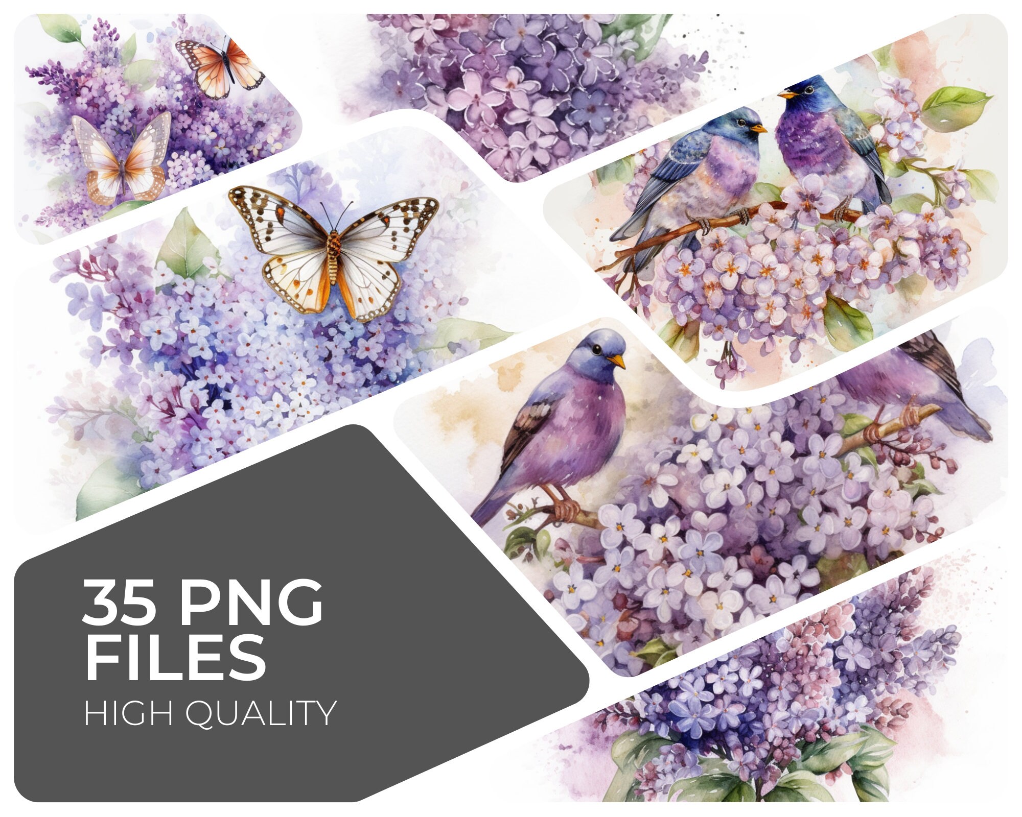 Watercolor Lilac Flowers PNG Clip Art, Spring and Summer Flowers