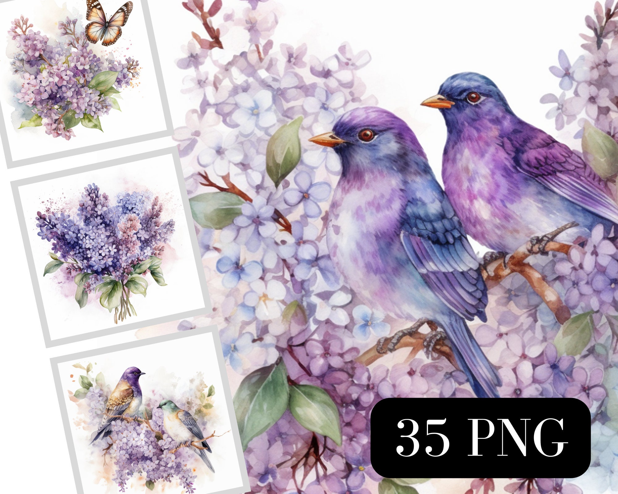 Watercolor Lilac Flowers PNG Clip Art, Spring and Summer Flowers