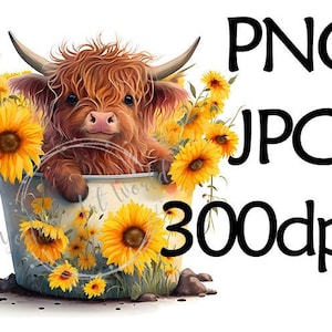 Adorable Baby Highland Cow with Sunflower PNG, Clipart, JPG PNG Digital Download