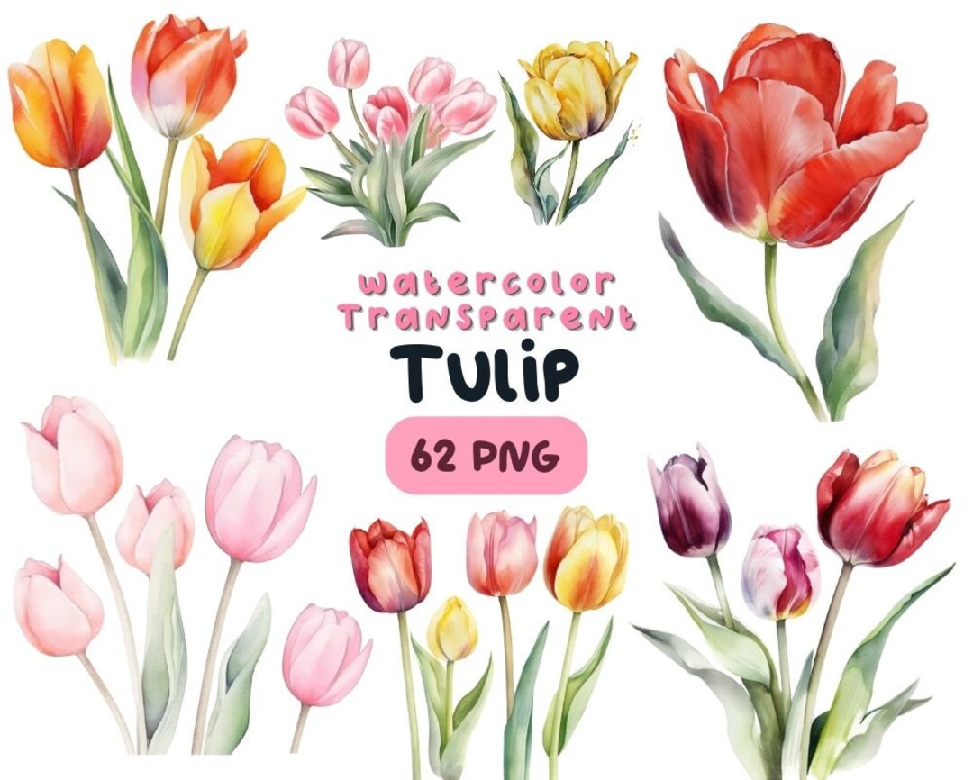 Watercolor Floral Tulip PNG Bundle, Digital Crafts Designs Transparent ...