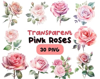 Watercolor Floral Pink Roses PNG Bundle, Digital Crafts Designs Transparent, Rose Clip art, Spring Floral Clipart, Commercial Use (YS003)