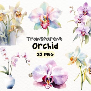Watercolor Orchid PNG Bundle, Digital Crafts Designs Transparent, Orchid Clipart, Floral Clipart, Commercial Use